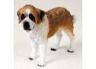 Saint Bernard