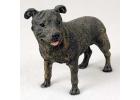 Staffordshire Bull Terrier