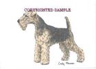 Welsh Terrier