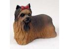 Yorkie - Yorkshire Terrier