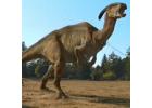 Parasaurolophus