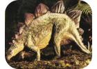 Stegosaurus